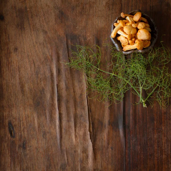 Finferli con peperoncino e aneto su un tavolo di legno — Foto Stock