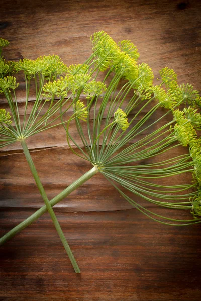 Eneldo de floración verde sobre una mesa de madera . — Foto de Stock