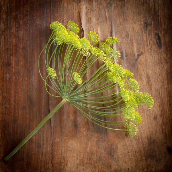 Gröna blommande dill på ett träbord. — Stockfoto