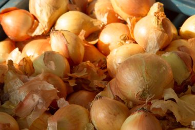 bir ürün soğan Çiftçi Market