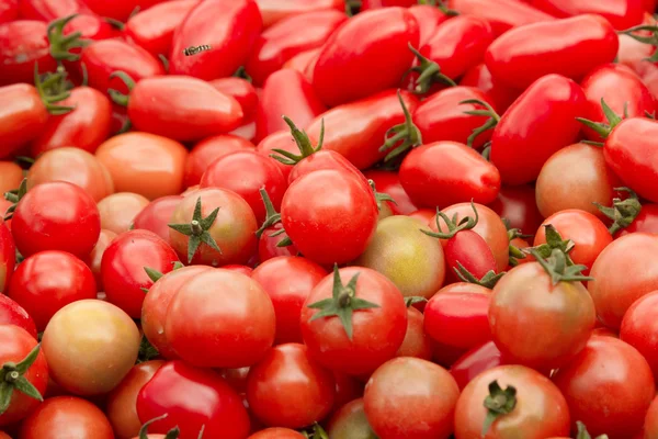 Mandje van tomaten op de boerenmarkt — Stockfoto