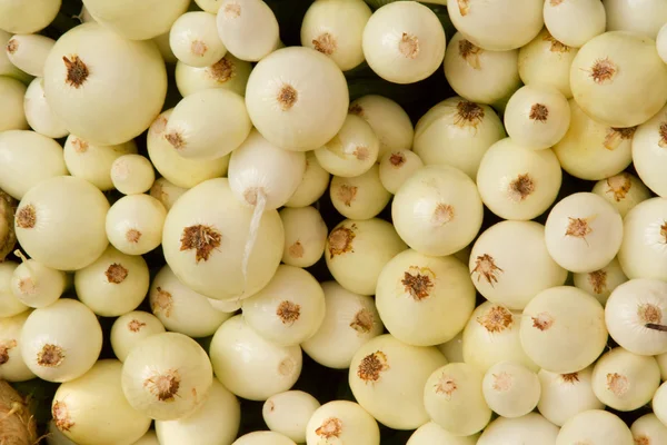 A crop of onions at the farmers market — Stock Photo, Image