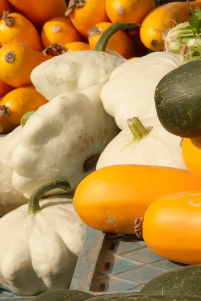 Pattinson and yellow squash at the farmers market — Stock Photo, Image