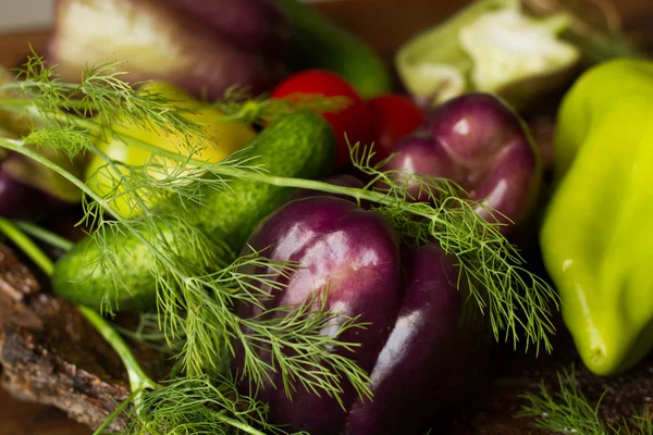 Pimiento púrpura y verde con pepinos de eneldo y tomates —  Fotos de Stock