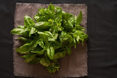 siyah bir arka plan güzel yeşil fesleğen