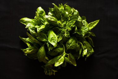 siyah bir arka plan güzel yeşil fesleğen