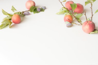Erik şeftali ve kayısı beyaz bir arka plan üzerinde şube