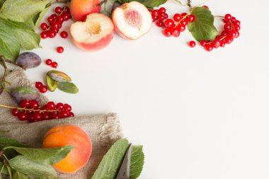 Erik şeftali ve kayısı makas ve kırmızı cur ile şube