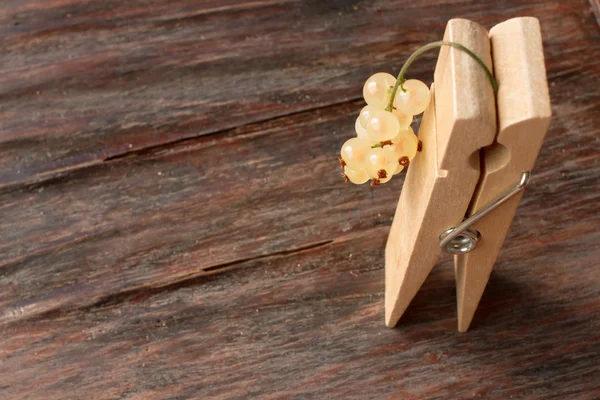 Ramita de grosellas blancas en una pinza de madera —  Fotos de Stock