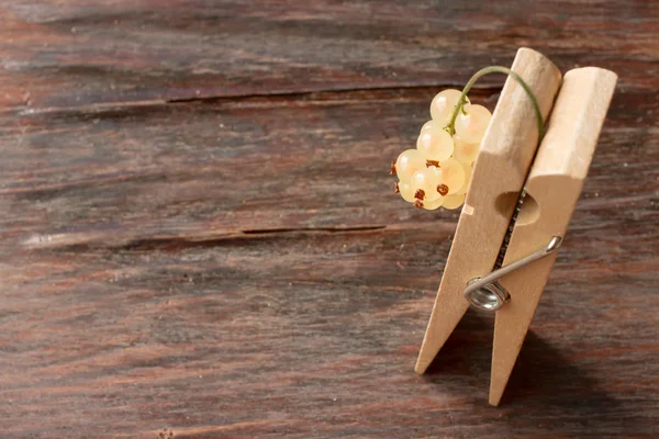 Ramita de grosellas blancas en una pinza de madera — Foto de Stock