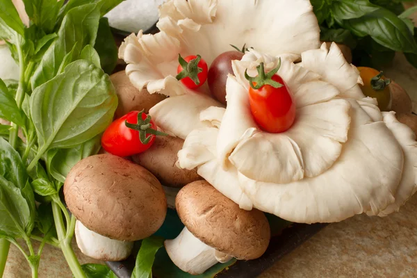 meadow mushroom and oyster mushrooms on wooden background