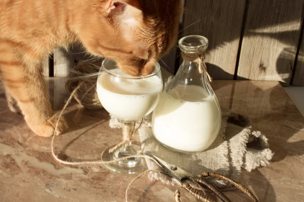 Leche para el desayuno por la mañana. comida saludable para niños —  Fotos de Stock