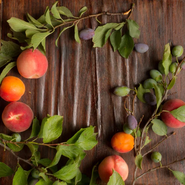Branche aux prunes pêches et abricots sur fond bois — Photo
