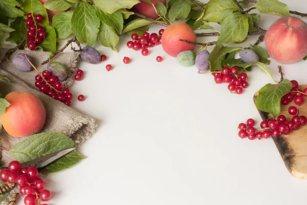 Branche aux prunes pêches et abricots avec ciseaux et cur rouge — Photo