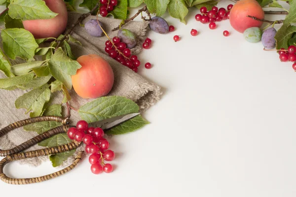 Branche aux prunes pêches et abricots avec ciseaux et cur rouge — Photo