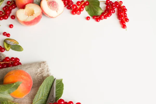 Ramo con prugne pesche e albicocche con forbici e bordino rosso — Foto Stock