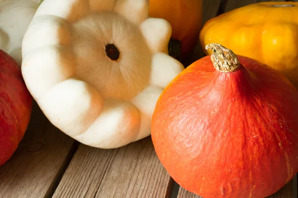 Citrouille mûre avec courge d'automne pour Halloween — Photo