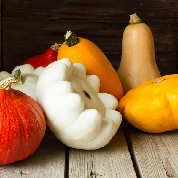 Citrouille mûre avec courge d'automne pour Halloween — Photo