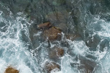 dalga deniz kaya dayak. doğa sporları