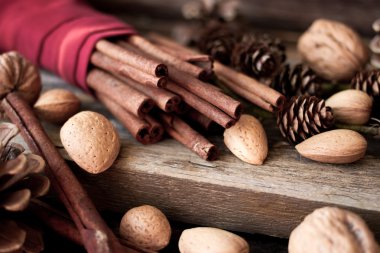 Noel ruh. Tarçın, ceviz ve çam koni