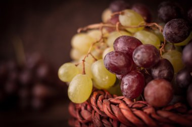 Olgun sulu üzüm şarap için demet