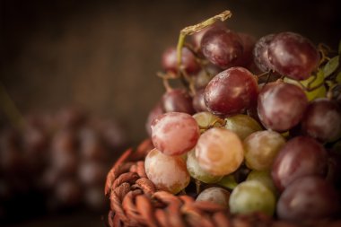 Olgun sulu üzüm şarap için demet