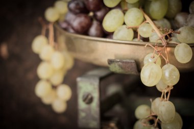 Olgun sulu üzüm şarap için demet