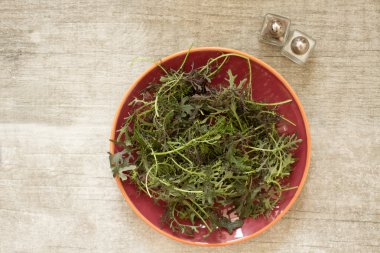 sağlıklı bir vücut ve ruh için salata yaprakları