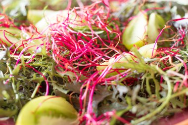 sağlıklı bir vücut ve ruh için salata yaprakları