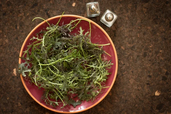 健康な体と精神のためのサラダの葉 — ストック写真