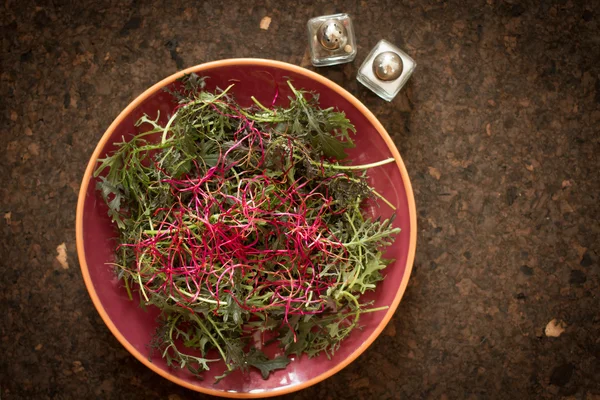 Listy salátu pro zdravé tělo i ducha — Stock fotografie