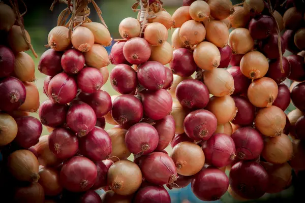 Bunch of red onions at the market — Stock Photo, Image