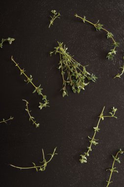 bitki kekik baharat, İtalyan baharat