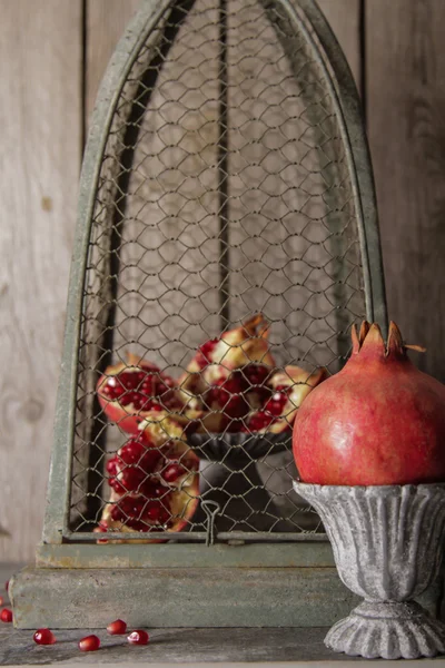 Vaso vintage grigio granato rosso succoso. su uno sfondo grigio di pietra — Foto Stock