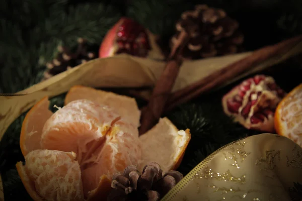 Tangerines and pomegranate on a background of trees — Stock Photo, Image