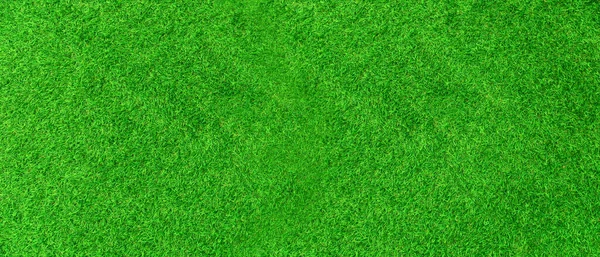 Açık hava sporları ve sporla ilgili işler için tasarlanmış yapay çimenlerin yeşil duvarı ve yeşil arka planı.