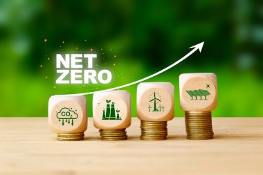 Ağaç kutusunda sıfır karbon emisyonu yeşil doğa arka planı, icat ilham kavramı, 2050 yılında ağ sıfır emisyon fikri yenilikçi karbon tarafsızlığı.