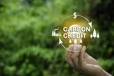 Karbon saplantısı doğayla savaşıyor. Karbon kredi pazarı ve net sıfır takas konsepti. Küresel ısınma ve iklim değişikliğini sınırlamak için karbon ayak izi. Ağ sıfır ve yeşil yenilenebilir enerji.