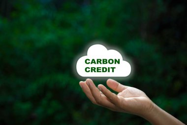 Karbon saplantısı doğayla savaşıyor. Karbon kredi pazarı ve net sıfır takas. Küresel ısınma ve iklim değişikliğini sınırlamak için karbon ayak izi. Yenilenebilir enerji. Toprak günü, dost enerji