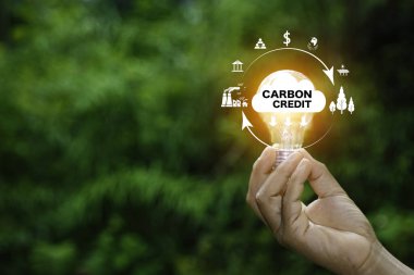 Çevre dostu ve enerji ile ilgili yeşil bir arka planda simgelerle çevrili, Karbon Kredi metniyle parlayan bir ampulü tutan.