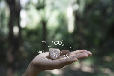 Karbon saplantısı doğayla savaşıyor. Karbon kredi pazarı ve net sıfır takas. Küresel ısınma ve iklim değişikliğini sınırlamak için karbon ayak izi. Yenilenebilir enerji. Toprak günü, dost enerji,