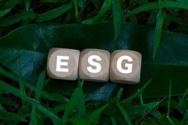 Yeşil yapraklar üzerinde ESG harfleri olan tahta bloklar, sürdürülebilir yatırımlarda çevre, sosyal ve yönetim ilkelerini sembolize ediyor.