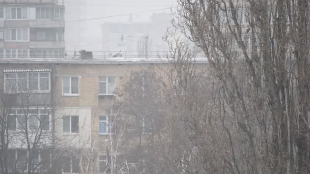 Nieve fina cayendo sobre el fondo de bloques de apartamentos — Vídeos de Stock