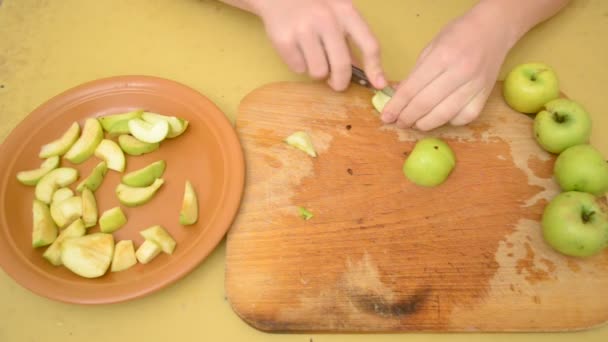 Extracción de granos de manzana y corte de manzanas en rodajas — Vídeos de Stock