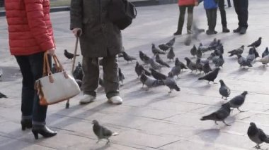 Yaşlı adam baston güvercin besleme ile ayak