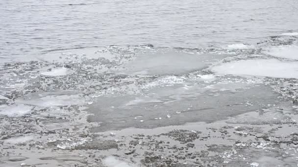 Τήξη όγκους πάγου που επιπλέουν στην επιφάνεια του νερού με κύματα — Αρχείο Βίντεο