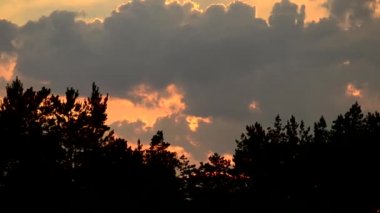 Zaman atlamalı günbatımında bulutların içinde ağaç siluetleri üzerinde gökyüzü