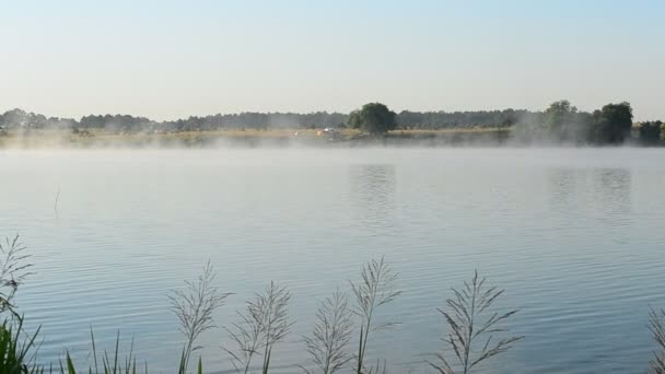 Mooie mist zweeft in de ochtend boven het wateroppervlak van een meer — Stockvideo