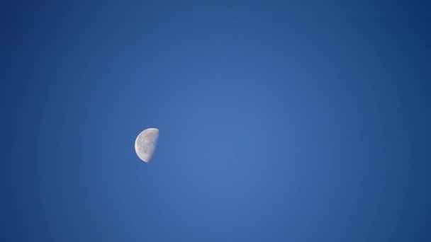 Luna se mueve a través del cielo azul sin nubes — Vídeo de stock