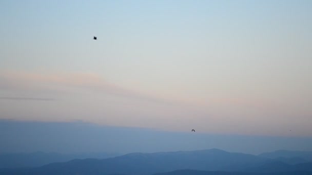 Las aves vuelan sobre el paisaje escénico en las montañas Cárpatos — Vídeo de stock